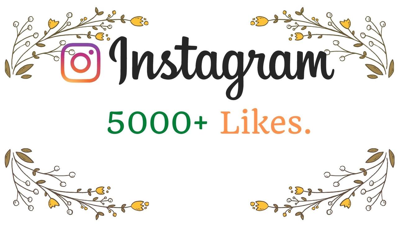 5000+ INSTAGRAM LIKES ORGANIC REAL ACTIVE USERS AND NON DROP GUARANTEED