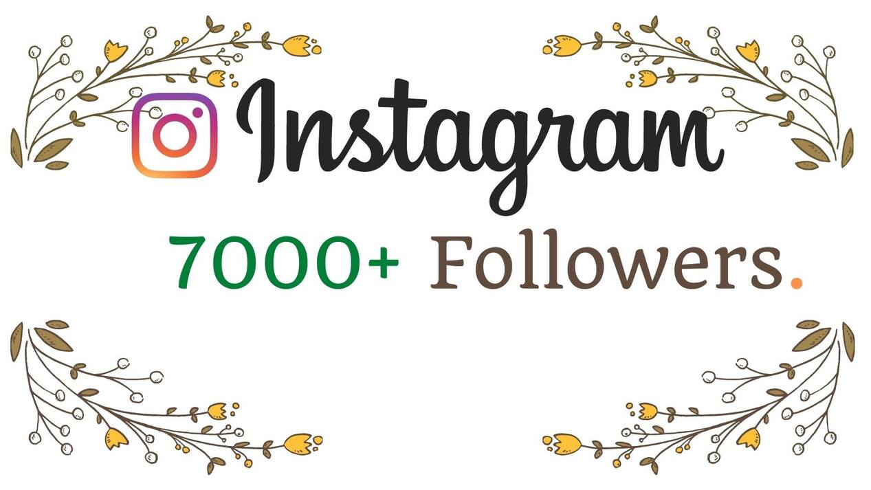 You will get 7000+ Instagram Followers Instant, lifetime guaranteed, Non-drop & Active user