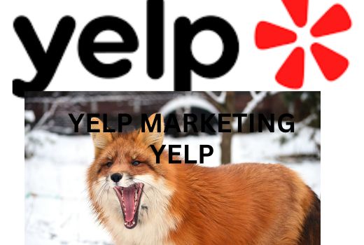 I will build grocery or food delivery or alcohol app like yelp,uber
