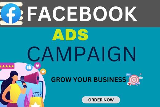 I will create and manage your Facebook ads campaign