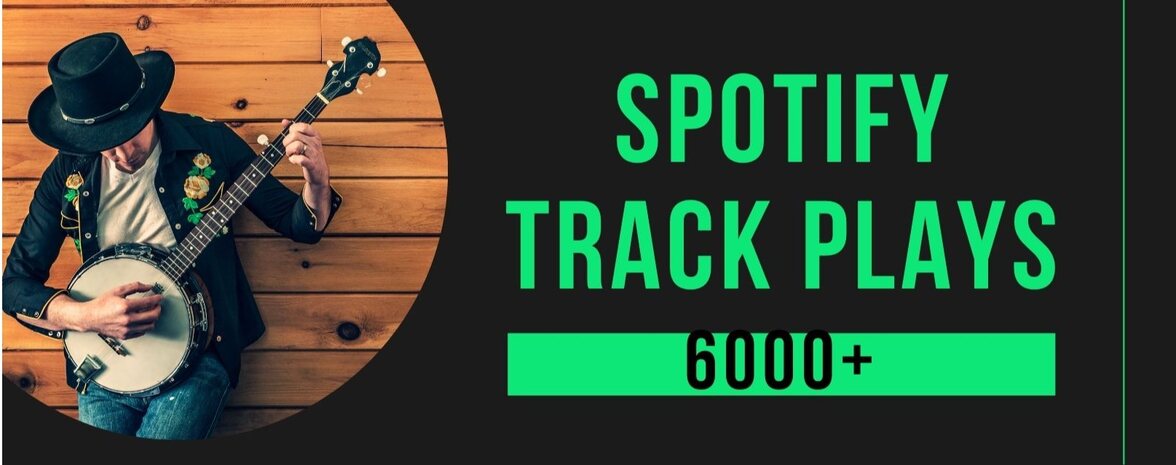 6000+ Spotify Premium Track plays active and real users