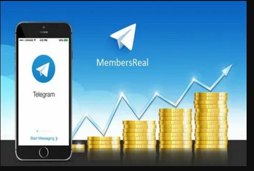 I will do telegram promotion to the targeted audience