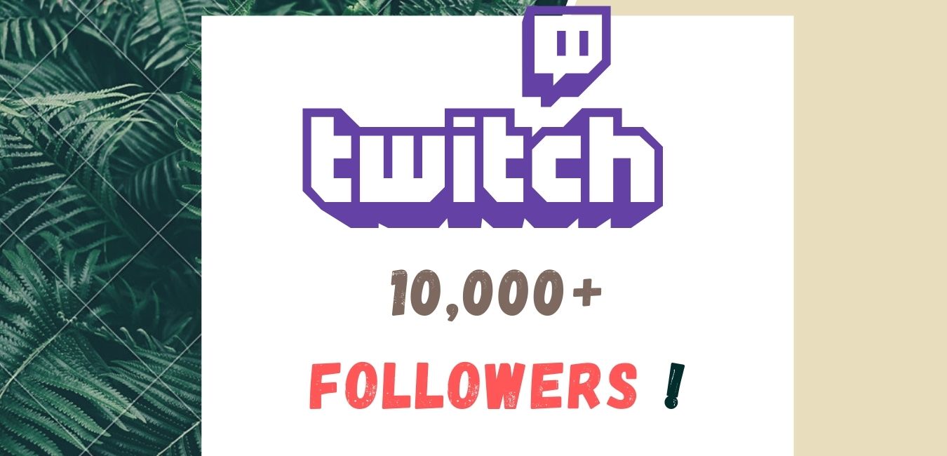 10,000+ Twitch Channel Followers
