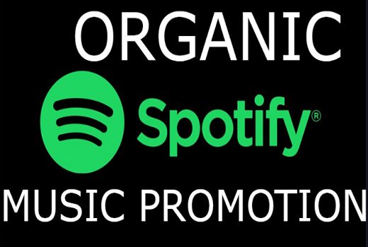 I will create organic spotify album promotion, Spotify music promotion, Viral spotify