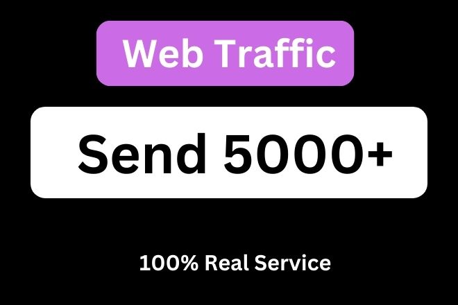 Send 5000+ Web Traffic 100% Real and organic