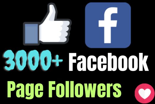 I will add 3000+ Facebook page Followers