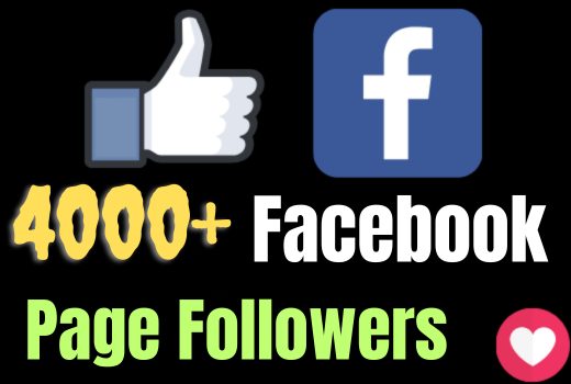 I will add 4000+ Facebook page Followers