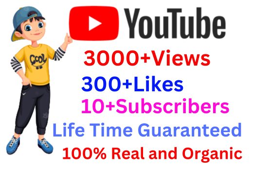 Receive more than 3000+YouTube Views 300+ Likes With 10 Subscriber