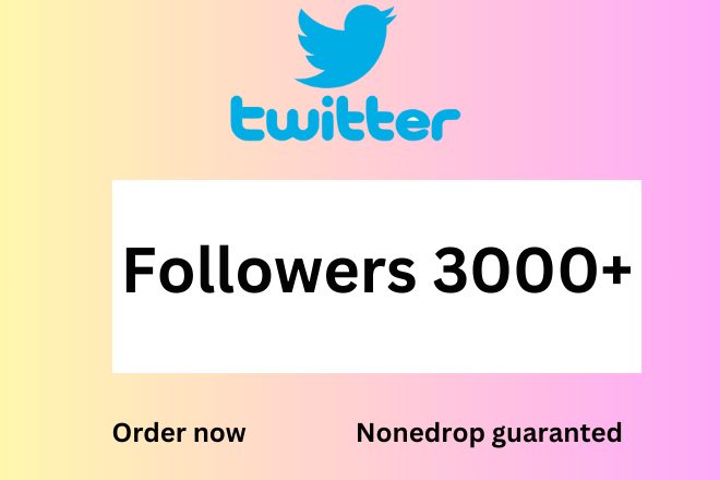 I will provide 3000+ Twitter Real Followers lifetime guaranted.