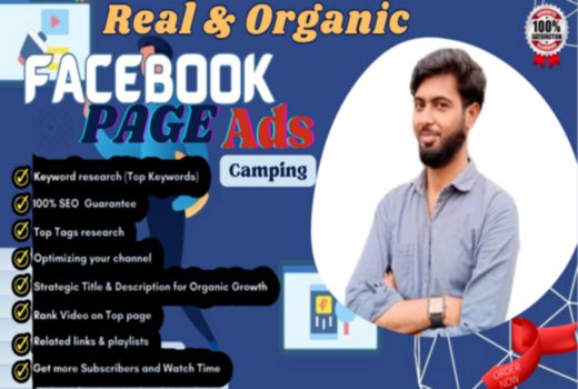 I will manage your facebook ads campaign