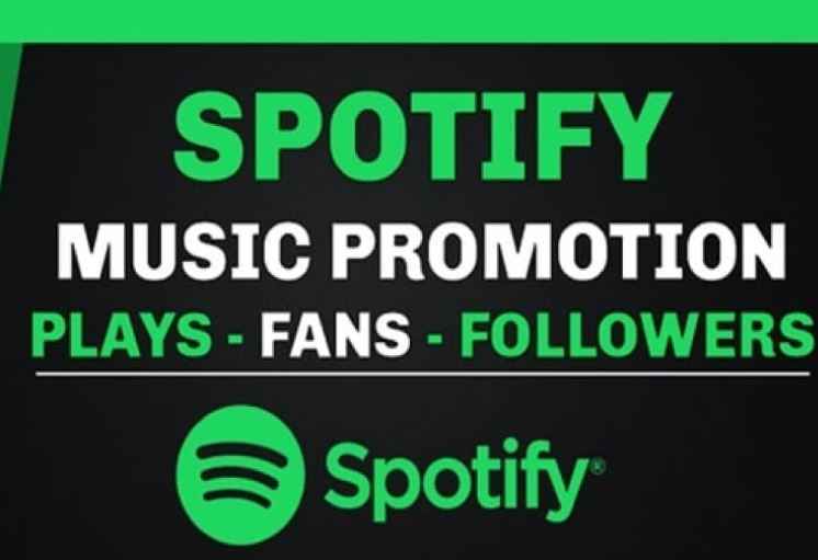 I will do organic spotify music promotion to large audience, spotify playlist, playlist curator