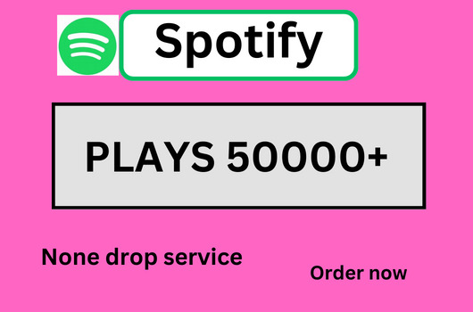 Send You 50,000 Spotify  High-Quality Plays Non-drop and Permanent Guarented
