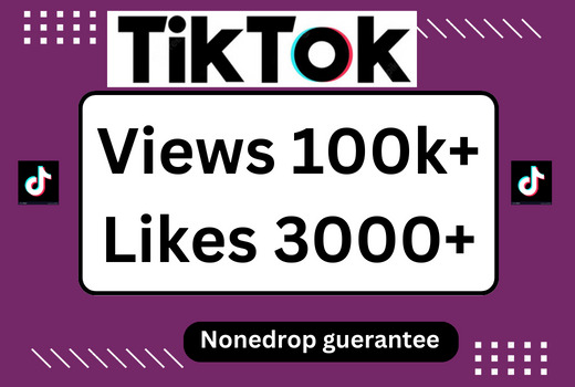 I will provide you TikTok 100K+ views and 3000+ likes  with None drop guarantee