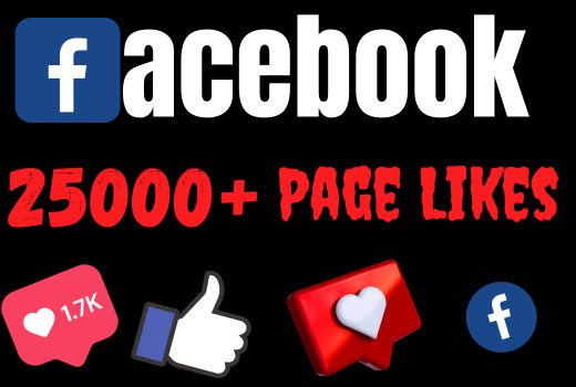 I will add 25000+ REAL AND non drop Facebook Page likes+ Followers