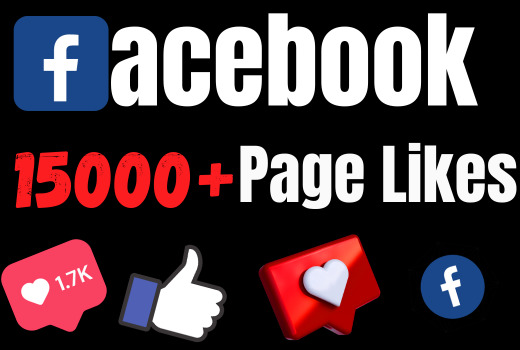 I will add 15000+ REAL AND non drop Facebook Page likes