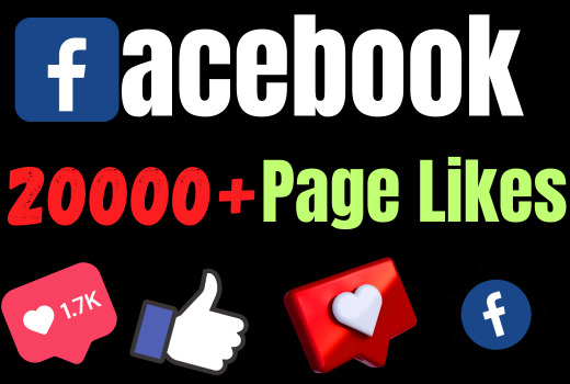 I will add 20000+ REAL AND non drop Facebook Page likes+ Followers