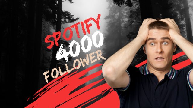 i will provide you 4000 spotify followers