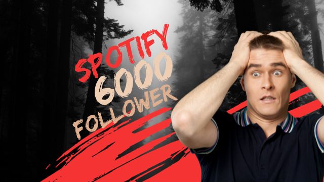 I will provide 6000 Spotify followers, non drop, 100% and lifetime permanent