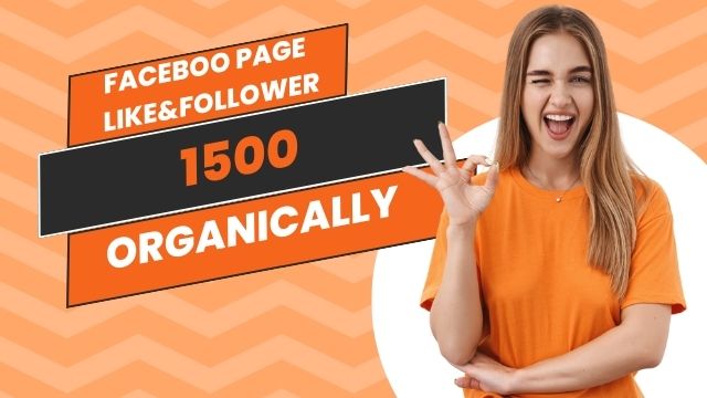 I will do 1500 organic Facebook page like &Followers