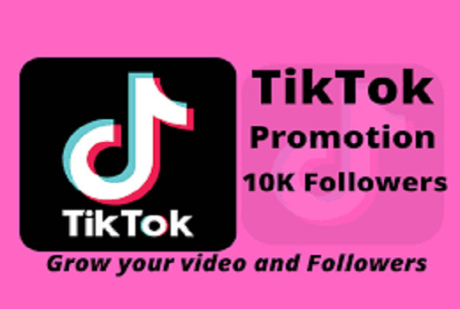 I will give 1k+ Organic  Tiktok followers|| Organic Growth
