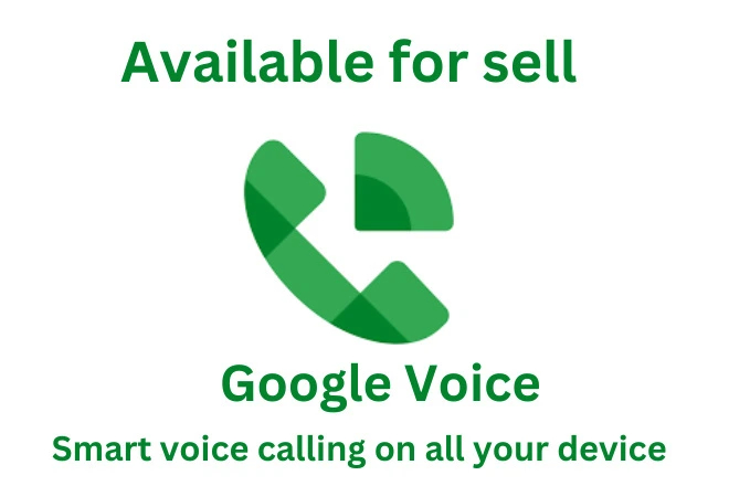 I Will Give You Instants One Google Voice USA Number