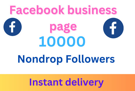 I will give 10000 nondrop FACEBOOK page followers