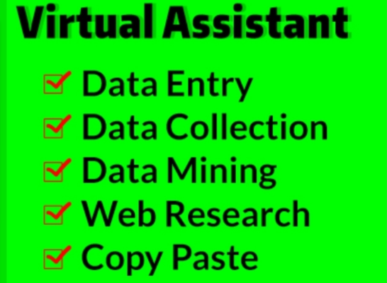 Data Entry, Data Collection and cleaning