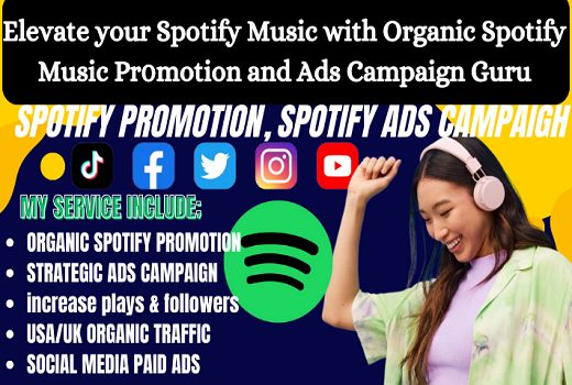 I will do organic Spotify music promotion and run an ads campaign for your Spotify music