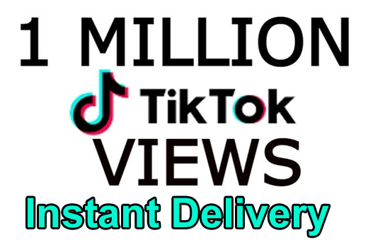 I will provide 1M Organic TikTok Views