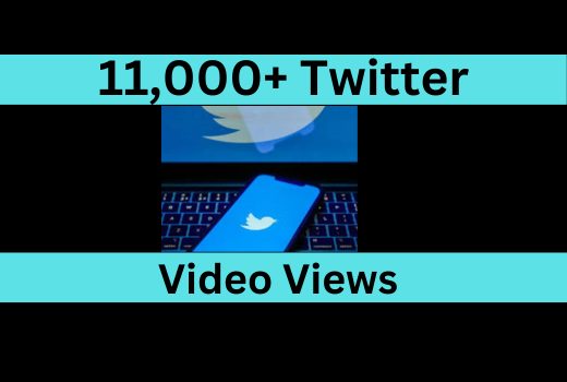 11,000 Twitter video views instant