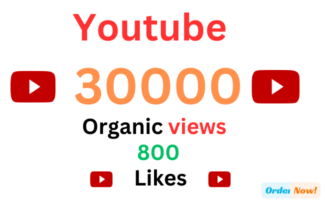 30000+ Youtube views to your video for Lifetime || 100% Organic with 800 Likes