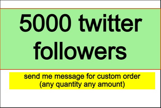 i will provide you 5000 twitter followers