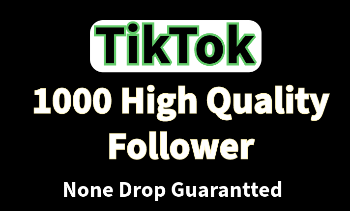 You will get 1000+ TikTok Followers || 100% Real & Organic TikTok Promotion