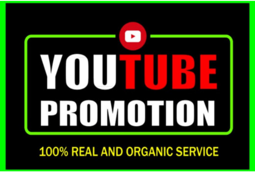 I will do super fast organic YouTube video promotion with google ads.