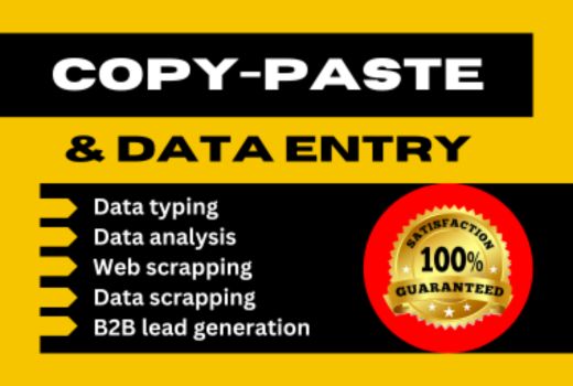 I will be your virtual assistant for copy paste job with data entry