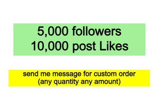 5000 Instagram followers with 10,000 Instagram post Likes