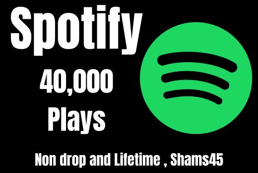 Get 40,000 Spotify USA High-Quality Plays With 1000 Followers, Non-drop and Permanent
