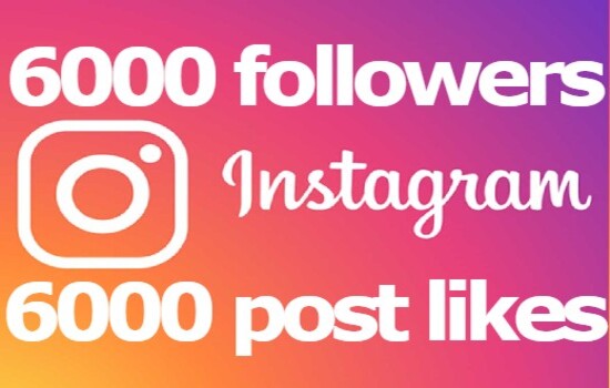 6000 INSTAGRAM FOLLOWERS with 6000 post likes