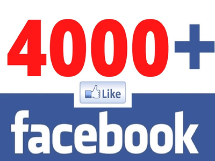 You will get 4000+ Organic Facebook page followers or likes for your business page