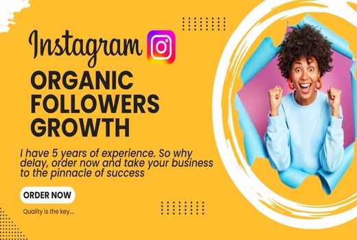 Get Instagram Followers Instantly Non-Drop & HQ Active Users, Lifetime Guarantee