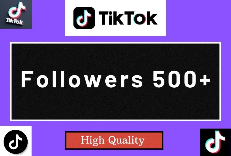 i will Provide 500+ Tiktok followers  100% Real & Nonedrop service