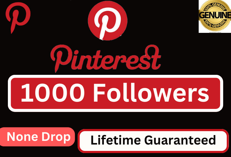 I will provide 1000+ Pinterest followers 100% Real & None drop Guaranteed