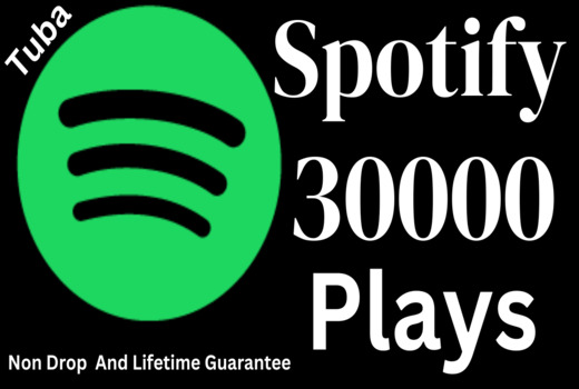 Get 30,000 Spotify USA or A+ countries CA/EU/AU/NZ/UK. Permanent guarantee