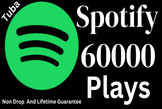 Get 60,000 Spotify USA or A+ countries CA/EU/AU/NZ/UK. Permanent guarantee