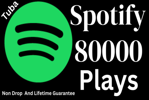 Get 80,000 Spotify USA or A+ countries CA/EU/AU/NZ/UK. Permanent guarantee