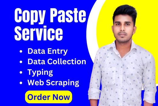 I will do data entry, copy paste and excel data entry