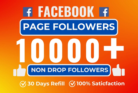 You Will Get 10000+ Facebook Page Non-Drop Followers