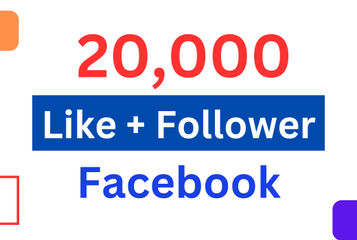 20,000 Facebook Page Like Follower Guarantee Lifetime