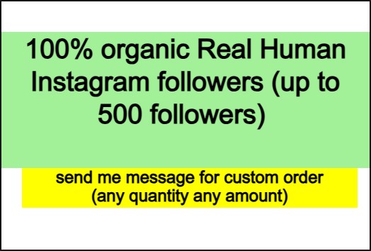 100% organic Real Human Instagram followers (up to 500 followers)