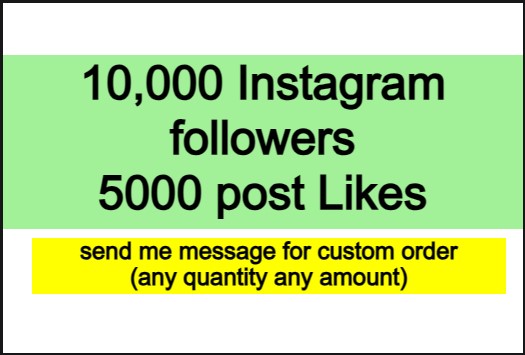 10,000 Instagram followers with 5000 Instagram post Likes